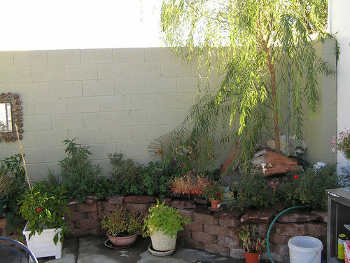 Hiway House Motel Albuquerque Exterior foto